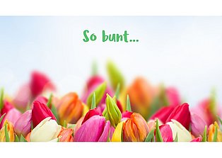 Ein bunter Tulpenstrauß